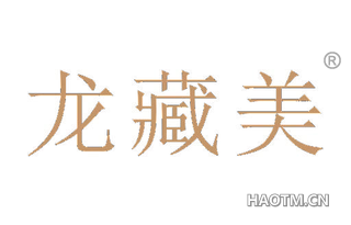 龙藏美