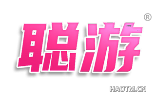聪游
