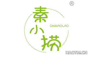 秦小捞
