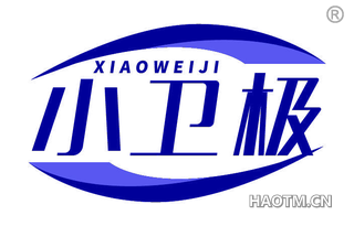 小卫极