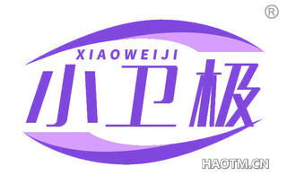 小卫极
