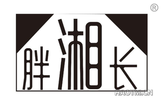 胖湘长