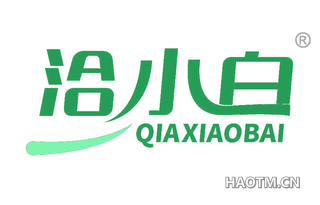 洽小白
