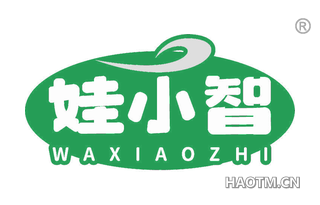 娃小智