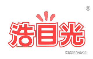 浩目光