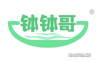 钵钵哥