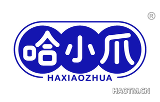 哈小爪