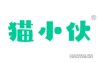 猫小伙