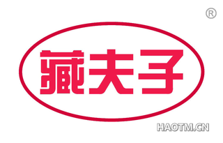 藏夫子