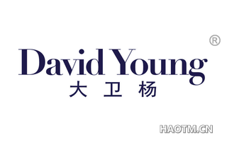 大卫杨 DAVID YOUNG