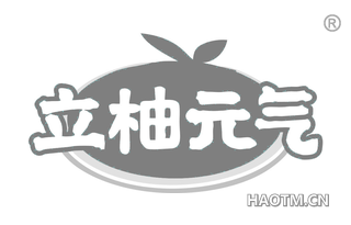 立柚元气