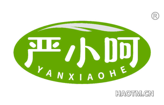 严小呵