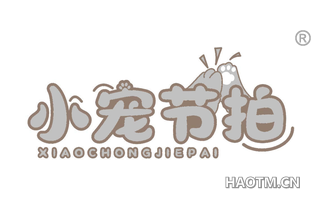 小宠节拍