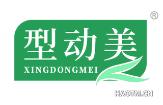 型动美