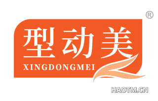 型动美