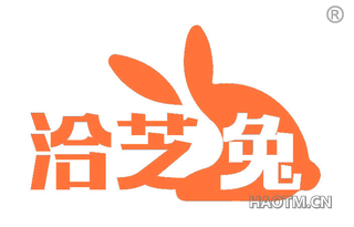洽芝兔