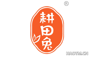 耕田兔