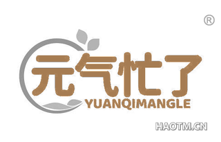 元气忙了