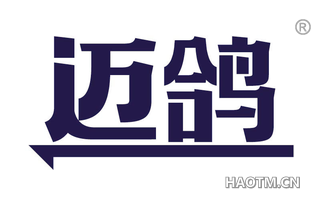 迈鸽
