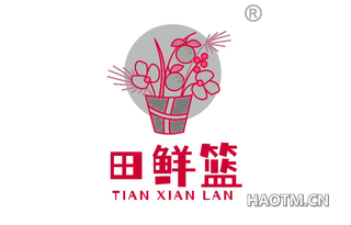 田鲜篮