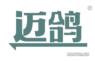 迈鸽
