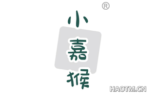 小嘉猴