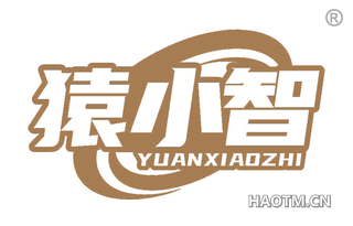 猿小智