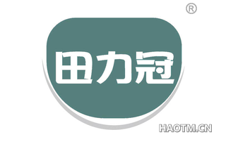 田力冠