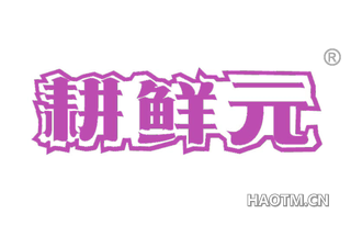 耕鲜元