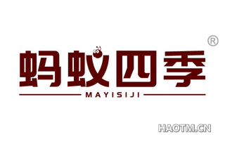 蚂蚁四季