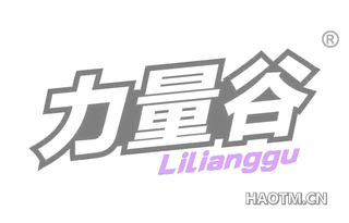 力量谷