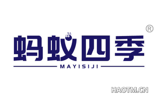 蚂蚁四季