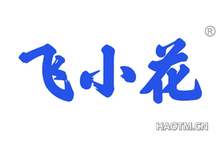 飞小花