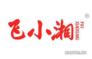 飞小湘