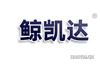 鲸凯达