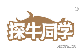 探牛同学
