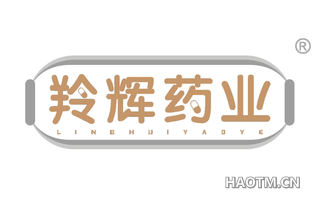 羚辉药业