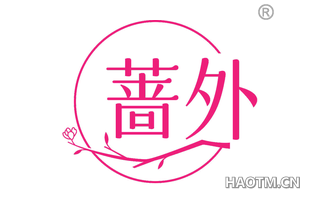 蔷外