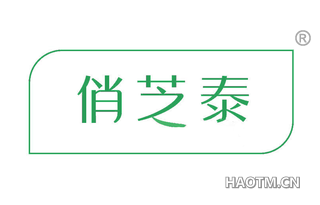 俏芝泰