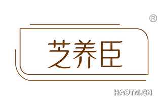 芝养臣