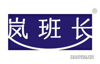 岚班长