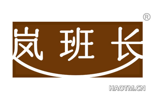 岚班长