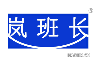 岚班长