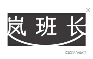 岚班长