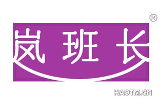 岚班长