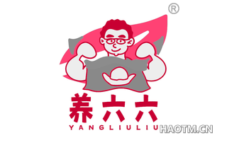 养六六