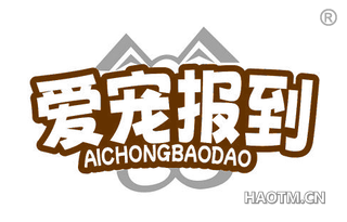 爱宠报到