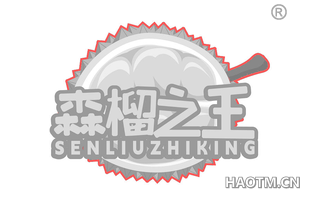森榴之王 SENLIUZHIKING