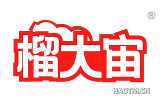 榴大宙