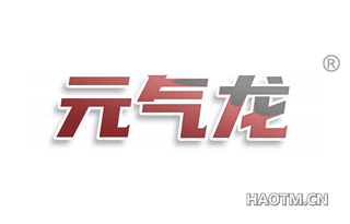 元气龙